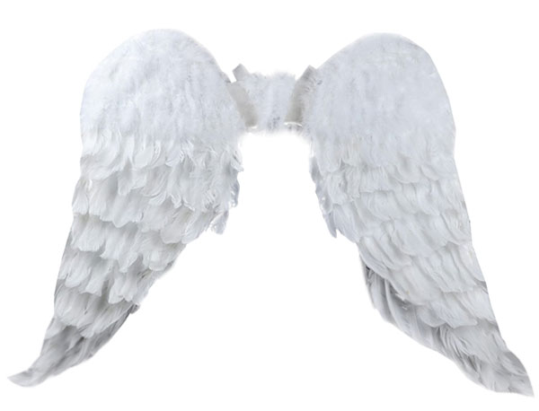 angel wings adult
