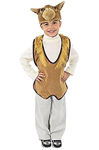 camel vest costume