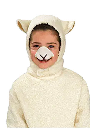 child lamb costume