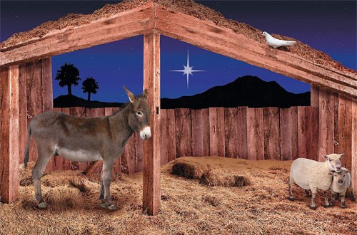 nativity stable backdrop